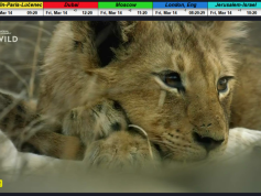 dxsatcs-amos-3-middle-east-beam-sat-reception-prodelin-450cm-yes-israel-by-roman-dávid-lucenec-slovakia-002