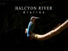 Astra 2D at 28.2 e-2d north spot-freesat-sky-bbc-itv-10 847 V BBC HD-20